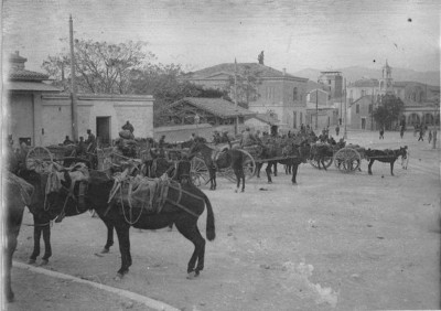 Σε ποιον σταθμό του τρένου περιμένουν οι αραμπάδες για να μεταφέρουν κόσμο και εμπορεύματα; Η κατασκευής της γραμμής διήρκεσε 12 χρόνια