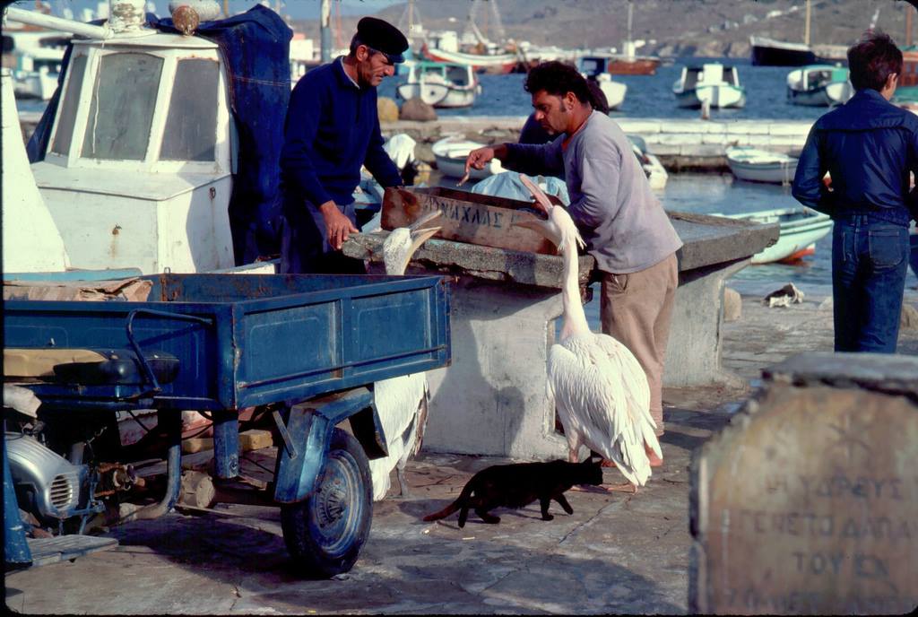 Η άγνωστη Μύκονος. Το φτωχό νησί των πολεμιστών, των πειρατών και των ψαράδων στη “Μηχανή του Χρόνου”