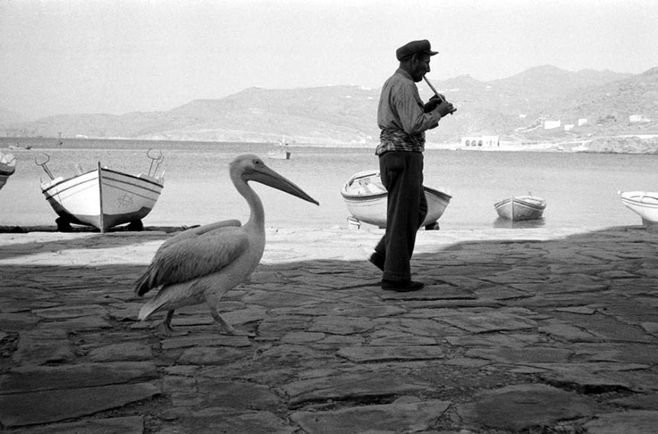 Rene Burri, 1957, Μύκονος, ο αυλητής και ο πελεκάνος [ο Βασίλας και ο Πέτρος