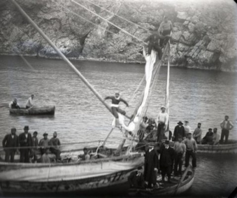 Φωτογραφία του 1900: οι σφουγγαράδες της Σύμης βουτούν στο σημείο του αρχαίου ναυαγίου, στα Αντικύθηρα  