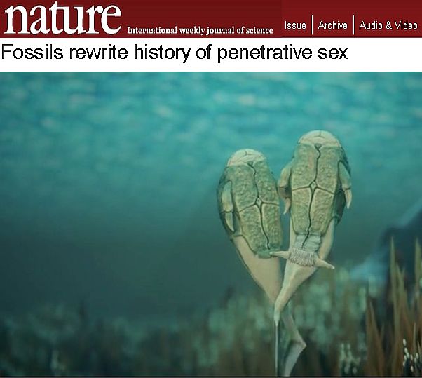 Επιστημονική ανακοίνωση: Η πρώτη σεξουαλική πράξη έγινε πριν από 385 εκατ. χρόνια. Οι “εραστές” ήταν ψάρια και διέθεταν εξωτερική οστέινη «πανοπλία»