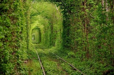 “Το τούνελ της αγάπης”. Πώς μια σιδηροδρομική γραμμή μεταφοράς ξυλείας στην Ουκρανία έγινε παγκόσμιο αξιοθέατο για τους ερωτευμένους