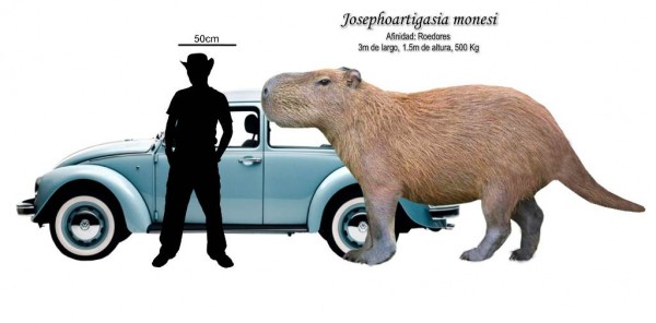 Josephoartigasia_monesi_graphic