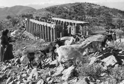 Η λεηλασία του Επικούριου Απόλλωνα. Τα γλυπτά πουλήθηκαν σε δημοπρασία και κατέληξαν στο Βρετανικό Μουσείο. Η στάση του Βελή πασά