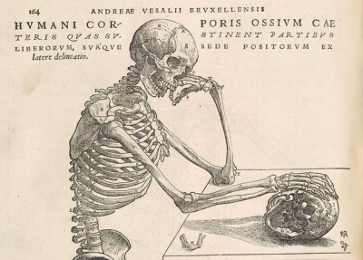 Ανδρέας Βεσάλιος. Ο πατέρας της σύγχρονης Ανατομίας έγινε καθηγητής στα 23 και απεικόνισε με ακρίβεια το ανθρώπινο σώμα