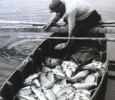 Τα ψάρια ήταν το χρυσάφι των ελληνικών λιμνών. Από το ψάρεμα ζούσαν οι περισσότερες οικογένειες στα παραλίμνια χωριά