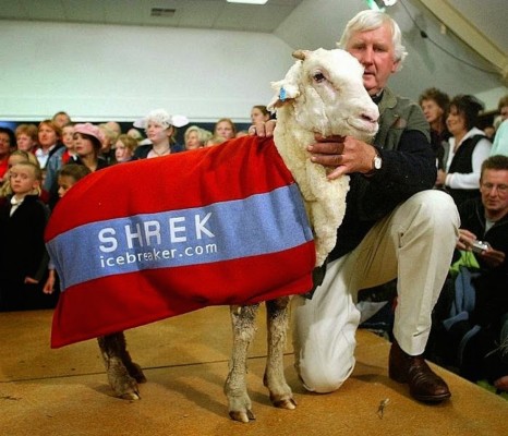 shrek-the-sheep-26