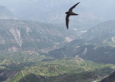 Ο ξεσηκωμός των κτηνοτρόφων στα Τζουμέρκα για να διώξουν τους τσιφλικάδες. Δείτε το Οροπέδιο Κωστηλάτας από ψηλά (drone)