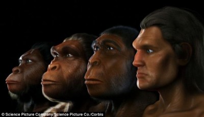 Από τον πίθηκο στον άνθρωπο. Η ιστορία της εξέλιξης μέσα σε 1,5 λεπτό