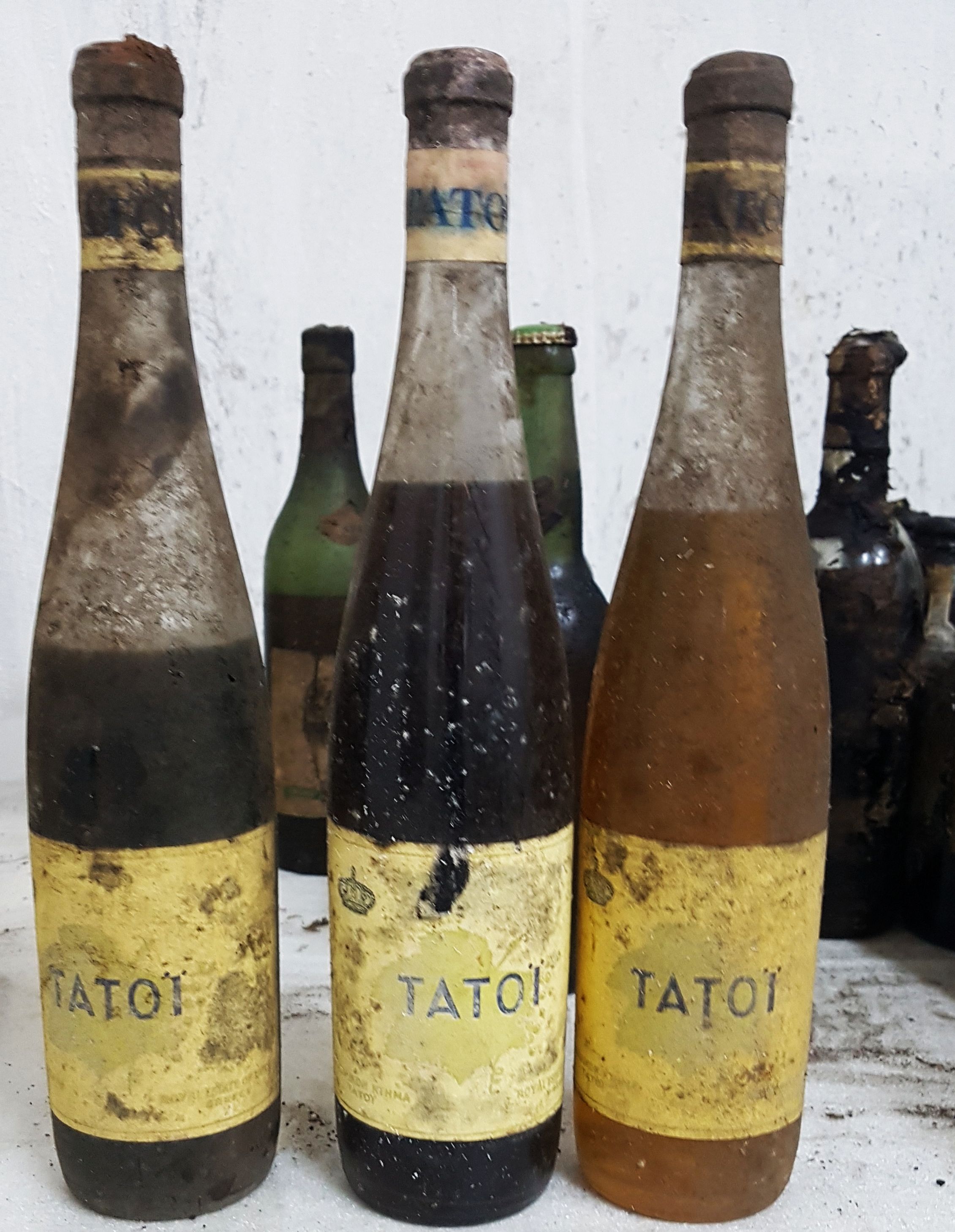 Κρασί , Τατόι