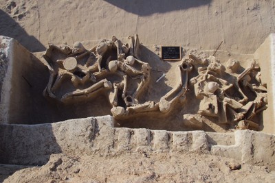 Τα μυστικά που κρύβουν οι 1.500 αλυσοδεμένοι σκελετοί στο αρχαίο νεκροταφείο του Φαλήρου. Ήταν δεμένοι πισθάγκωνα