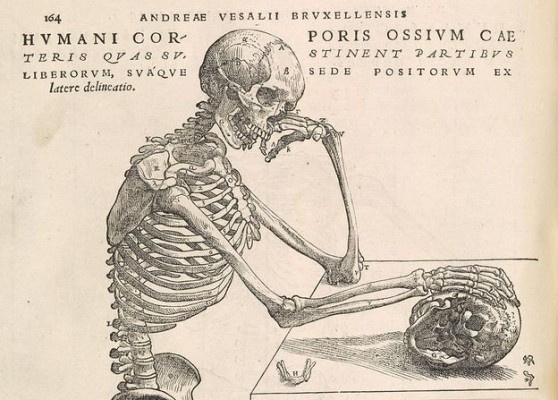 Andreas-Vesalius-3