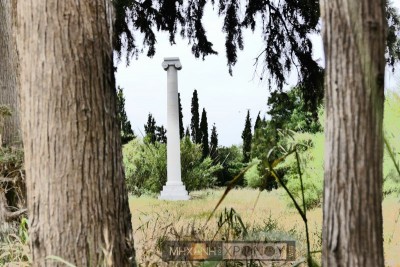 Γιατί φυτεύουν κυπαρίσσια στα νεκροταφεία; Για τους αρχαίους Έλληνες ήταν το δέντρο της θλίψης και οι Χριστιανοί πιστεύουν ότι το δέντρο ενώνει τη γη με τον ουρανό