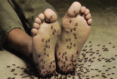 feet-covered-in-ants