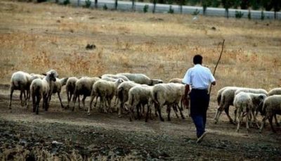 “Βεζύρης έγινες, άνθρωπος δεν έγινες”,”Με τον ήλιο τα μπάζω, με τον ήλιο τα βγάζω, τι έχουν τα έρμα και ψοφάνε;”Πώς βγήκαν μερικές από τις πιο γνωστές παροιμίες που αντέχουν αιώνες