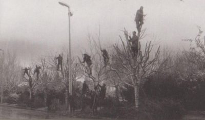 Τα “σκιάχτρα” πάνω στα δέντρα της Θεσσαλονίκης ήταν άνθρωποι. Πως δούλευαν με τα κλαδευτήρια και τα χειροκίνητα πριόνια