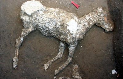 “Το άλογο της Πομπηίας” που περιφρόνησαν οι τυμβωρύχοι αλλά λάτρεψαν οι αρχαιολόγοι. Σπάνια εύρηματα με ζώα που χάθηκαν μετά την έκρηξη του Βεζούβιου (φωτο και βίντεο)