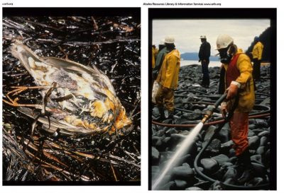 Η μέρα που πέθαναν 400 χιλιάδες θαλασσοπούλια. H τεράστια καταστροφή που προκάλεσε το ναυάγιο του Exxon Valdez. Το μονοπύθμενο τάνκερ και η υπερκόπωση του πληρώματος