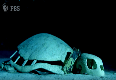 Ο τάφος δεκάδων χελωνών παραμένει ένα από τα άλυτα μυστήρια. Ανακαλύφθηκε από τον εξερευνητή Ζ. Κουστώ, αλλά η θεωρία του πλέον αμφισβητείται