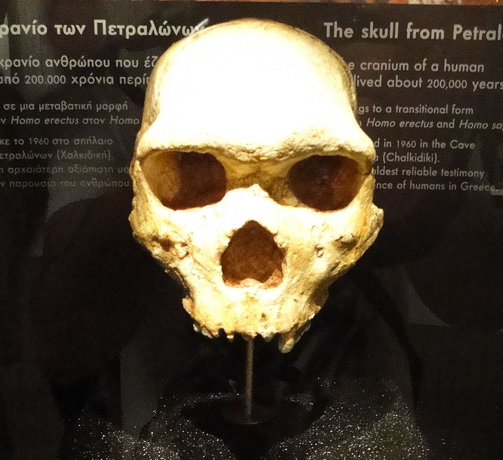 Η αμφισβητούμενη θεωρία ότι ο πρώτος Homo Sapiens ήταν ο Αρχάνθρωπος της Χαλκιδικής. Το ανθρώπινο κρανίο και η κόντρα των αρχαιολόγων