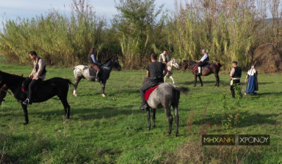 Ελληνικά άλογα. Ποια φυλή “γέννησε” τον Βουκεφάλα του Μ. Αλέξανδρου. Αήττητα, περήφανα και εργατικά, υμνήθηκαν όσο κανένα ζώο σε καιρό πολέμου