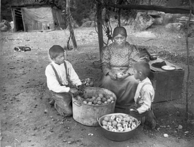Πώς η πατάτα εκτόξευσε τον παγκόσμιο πληθυσμό και “εξαιτίας” της πέθαναν εκατομμύρια άνθρωποι από λιμό. Τα τρόφιμα που άλλαξαν τον κόσμο
