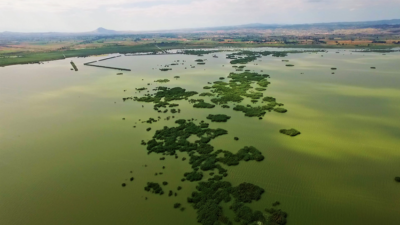 Το συνεχές οικολογικό έγκλημα στην λίμνη Κορώνεια, που προσπαθεί να επιβιώσει κόντρα στα βιομηχανικά απόβλητα. Οι γεωτρήσεις, οι ψαράδες και τα ελπιδοφόρα μηνύματα (drone)