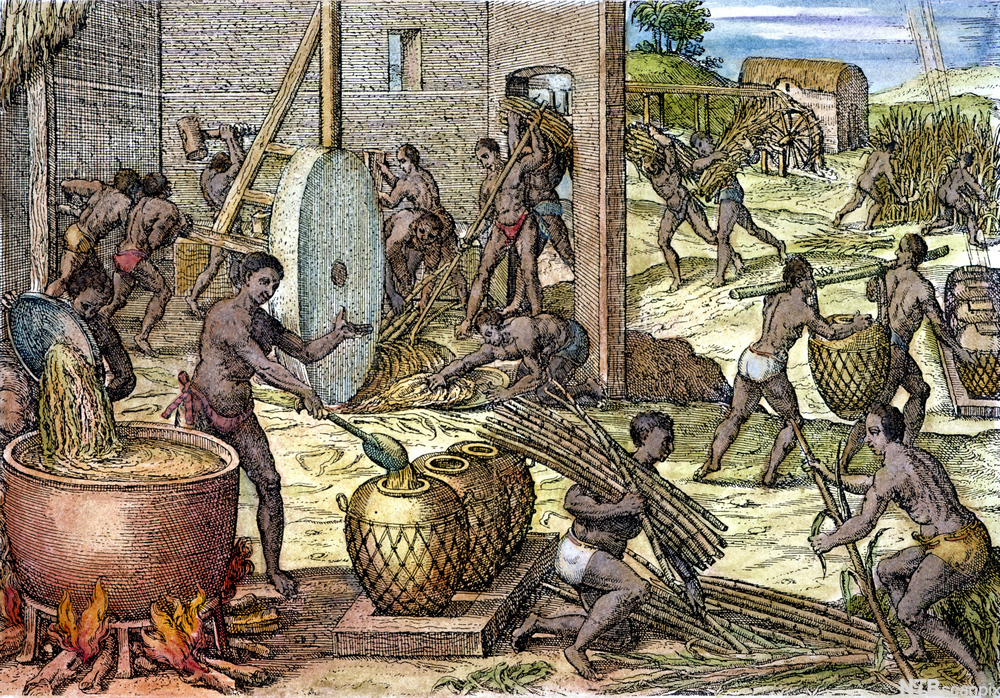 slavery Africa cornrows
