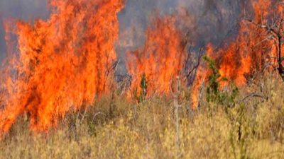 Αυξημένος κίνδυνος πυρκαγιών το Σαββατοκύριακο. Η Αττική εντός των περιοχών “υψηλής επικινδυνότητας”