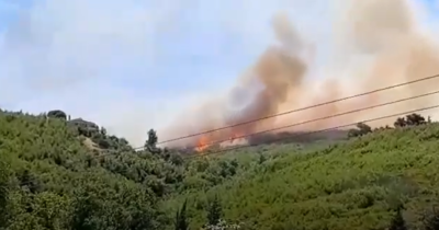 Eκκενώθηκαν οικισμοί σε Εύβοια και Βόλο από πυρκαγιές που ξέσπασαν. Αναζωπύρωση στον Βαρνάβα. Δυσχεραίνουν το έργο των πυροσβεστών οι ισχυροί άνεμοι