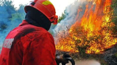 Σε εμπρησμό αποδίδονται οι πυρκαγιές σε Σαλαμίνα και Ηράκλειο της προηγούμενης βδομάδας. Δικογραφίες σε βάρος ενός ηλικιωμένου και ενός 25χρονου