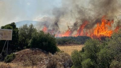 Φωτιά σε δασική έκταση στο Αραχναίο Ναυπλίου. Σε εξέλιξη επιχείρηση της Πυροσβεστικής