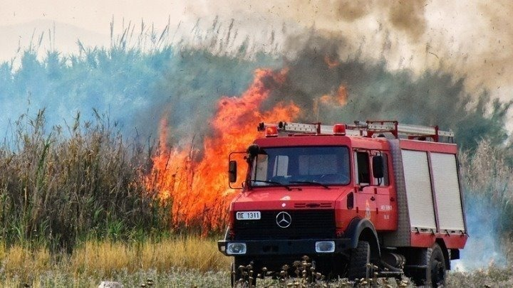 Έγιναν στάχτη περίπου 6.000 στρέμματα στη νοτιοανατολική Κεφαλονιά. Υπόνοιες για εμπρησμό αφήνει πρώην Νομάρχης