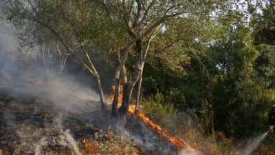 Μάχη με τις φλόγες στην Κατάβαση στη Χίο. Ενισχύονται οι πυροσβεστικές δυνάμεις – Εκκενώθηκαν προληπτικά 2 οικισμοί