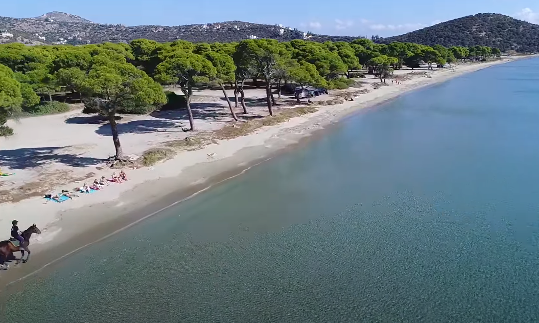 Σε ποια παραλία της Αττικής γυρίστηκε το "Είναι το στρώμα μου μονό" της Βουγιουκλάκη; Η αγαπημένη παραλία των Αθηναίων που δε θυμίζει σε τίποτα την πρωτεύουσα