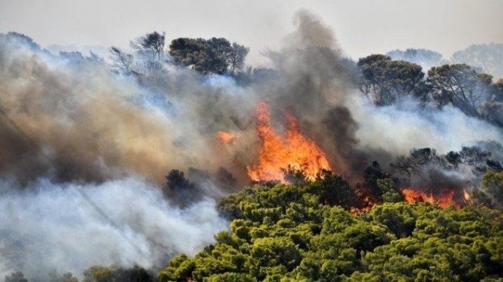 Φωτιές σε Εύβοια και Μέθανα – εκκενώθηκε ο οικισμός Κυψέλη. Υπό έλεγχο τα πύρινα μέτωπα στην Κεφαλονιά