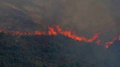 Μεγάλη πυρκαγιά στην Άνω Αλμυρή Κορινθίας – Εκκενώθηκε οικισμός. Περισσότερες από 40 δασικές πυρκαγιές καταγράφηκαν σε ένα 24ωρο σε όλη την Ελλάδα