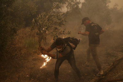 Μάχη με επικίνδυνη αναζωπύρωση μέσα στη Γαλατσώνα Eύβοιας. Ποια πύρινα μέτωπα είναι ακόμα ενεργά