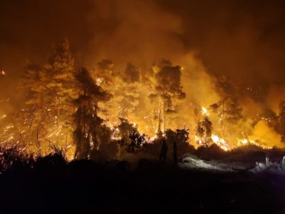 Περισσότερα από 1 εκατ. στρέμματα κάηκαν μέσα σε δύο εβδομάδες -Στην Εύβοια η μεγαλύτερη καταστροφή