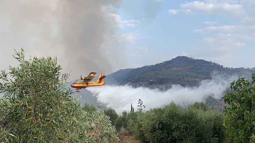 Ενεργό παραμένει το πύρινο μέτωπο στη Γορτυνία. Ρίψεις με εναέρια μέσα – Η επόμενη μέρα στην Εύβοια (φώτο)