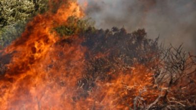 Η φωτιά συνεχίζει να κατακαίει τη Βόρειο Εύβοια – 350 πολίτες διέφυγαν με φέρι μποτ