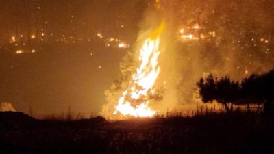 Εύβοια. Κάηκε το 1/3 των δασών του νησιού – πάνω από 508.000 στρέμματα. Σε απόγνωση οι μελισσοκόμοι