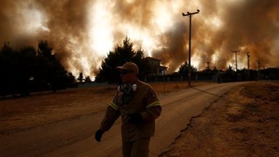 Η αλήθεια για τις πυρκαγιές – Το προφητικό άρθρο του καθηγητή Νίκου Μάργαρη για τα δάση – γηροκομεία δέντρων