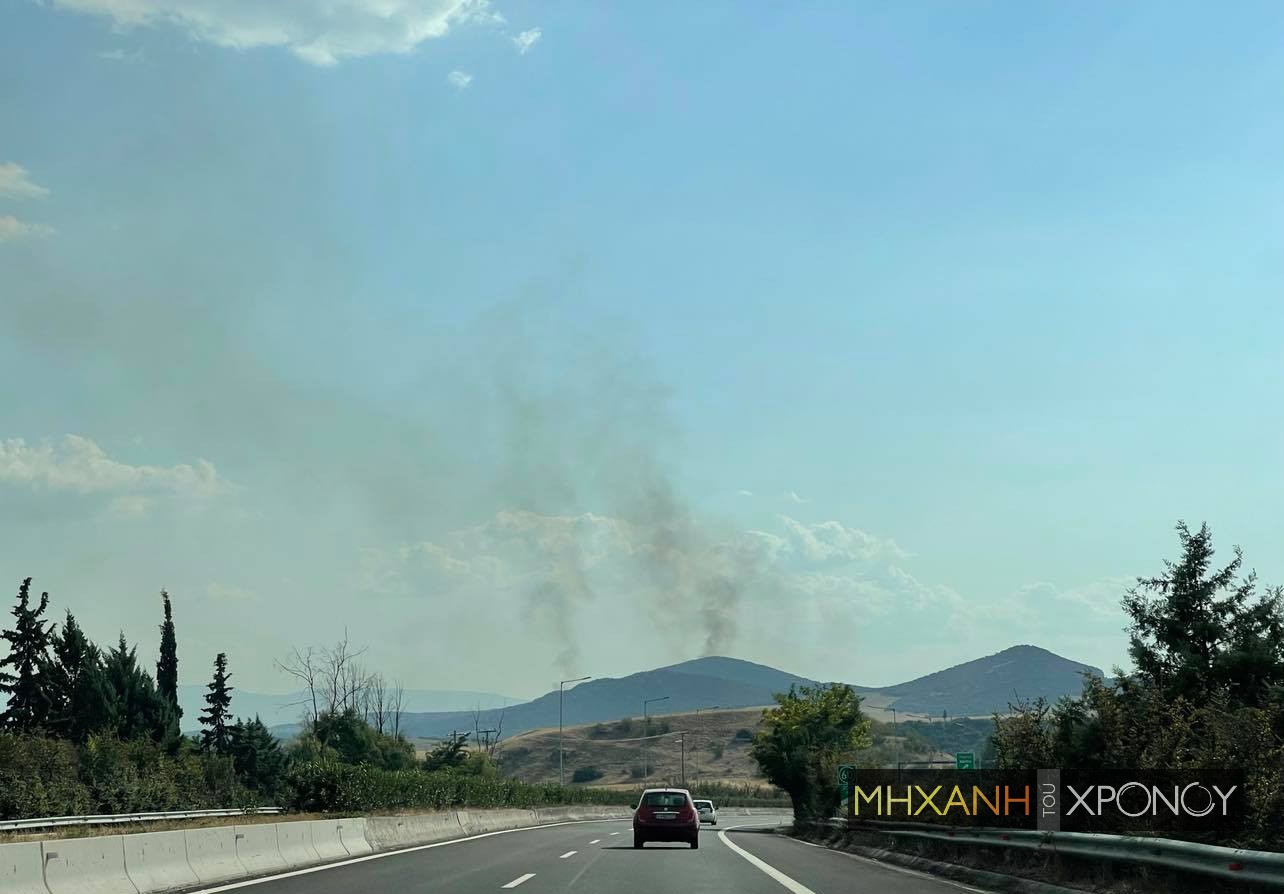 Φωτιά στην Φθιώτιδα. Εκκενώνεται το χωριό Λογγίτσι. 15 οχήματα, 4 αεροσκάφη κι ένα ελικόπτερο στην επιχείρηση κατάσβεσης