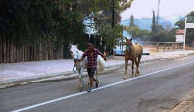 Φωτιά Βαρυμπόμπη. Άλογα έτρεχαν στην πλατεία να σωθούν. Μεγάλη επιχείρηση απομάκρυνσης