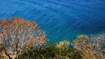 Καιρός. Νέο κύμα καύσωνα στη χώρα. Σε ποιες περιοχές θα «σκαρφαλώσει» στους 40 βαθμούς ο υδράργυρος