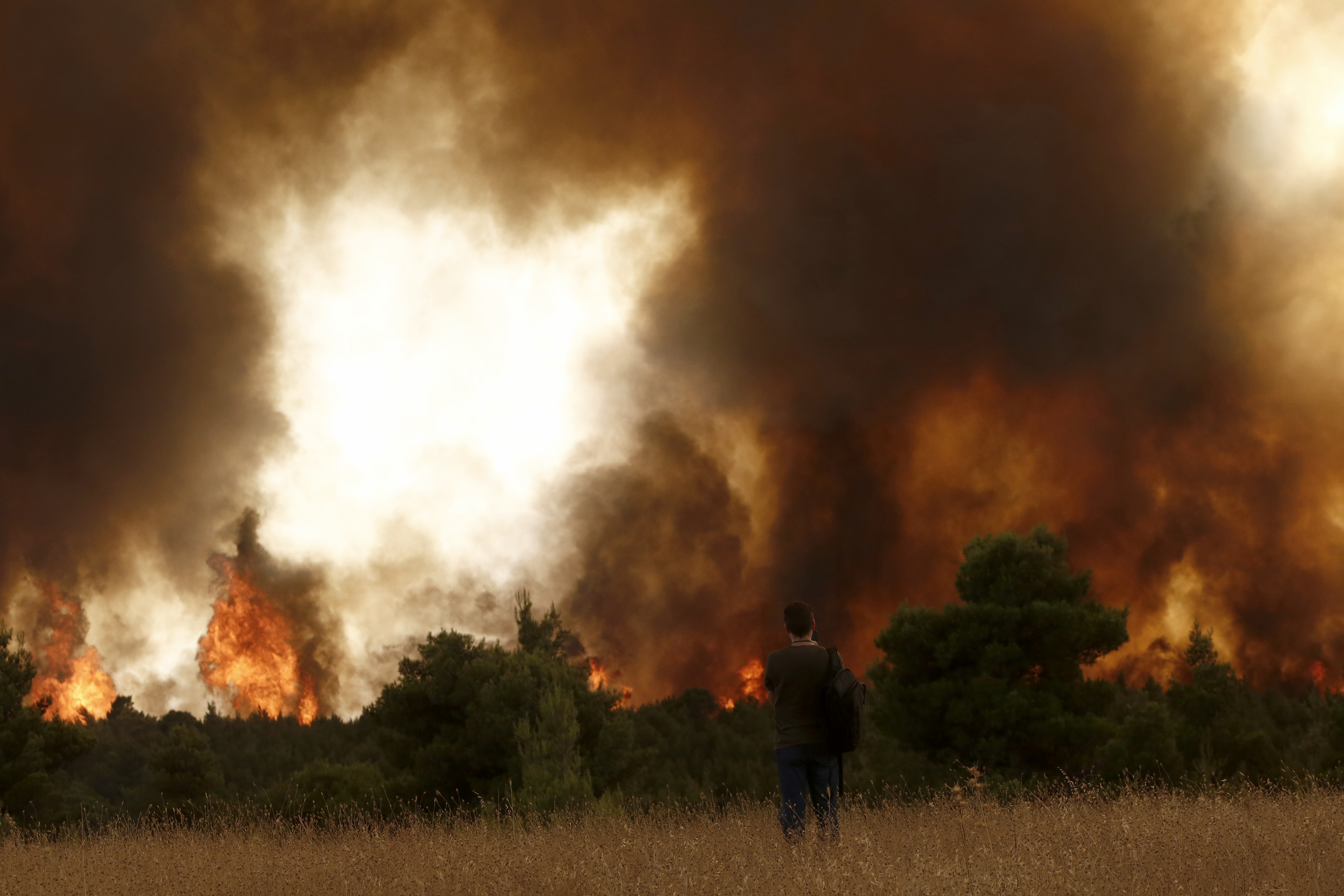 Σε Πεντέλη, Βριλήσσια, Διόνυσο και Αφίδνες τα κυριότερα μέτωπα. Στις φλόγες ο λόφος του Αστεροσκοπείου στην Πεντέλη