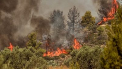 Ο άνθρωπος που είχε συλληφθεί ως ο εμπρηστής του Κρυονερίου εικονίζεται να σβήνει φωτιές και να σώζει άλογα στην Βαρυμπόμπη