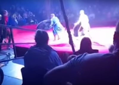 Αρκούδα επιτέθηκε σε έγκυο θηριοδαμαστή στη Ρωσία – (βίντεο)