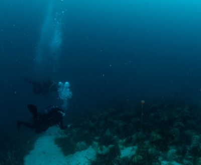 Μεγάλη υποβρύχια ανακάλυψη αλλάζει τα μέχρι τώρα δεδομένα των αρχαιολόγων για τη σχέση Ελλάδας-νότιας Ιταλίας